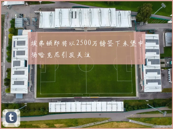 埃弗顿即将以2500万镑签下米堡中场哈克尼引发关注