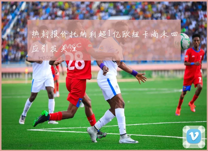 热刺报价托纳利超1亿欧纽卡尚未回应引发关注