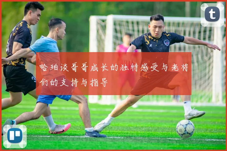 哈珀谈哥哥成长的独特感受与老将们的支持与指导